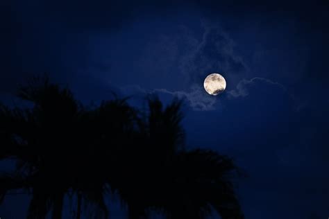 Full Moon Night 5k Wallpaper,HD Nature Wallpapers,4k Wallpapers,Images ...