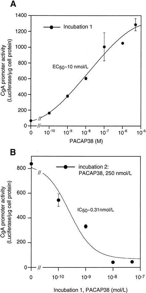 Time Dependent Effects Of The Neuropeptide Pacap On Catecholamine