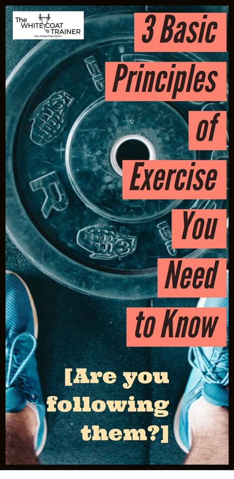 3 Basic Principles Of Exercise You Need To Know Before Working Out The White Coat Trainer