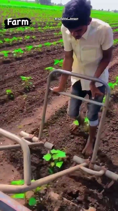 Farm Farming Tractor Farmer Food Kheti Khetibadinewstatus