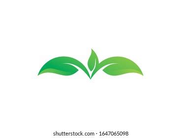 Green Eco Leaves Logo Design Vector Stock Vector Royalty Free