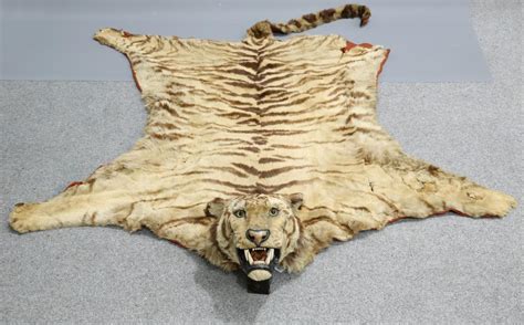 Sold Price TAXIDERMY TIGER SKIN PANTHERA TIGRIS TIGRIS EARLY 20TH