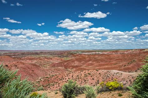 Petrified Forest National Park Camping Guide | Camping World Blog