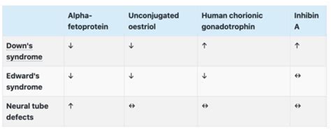 Obstetrics Flashcards Quizlet