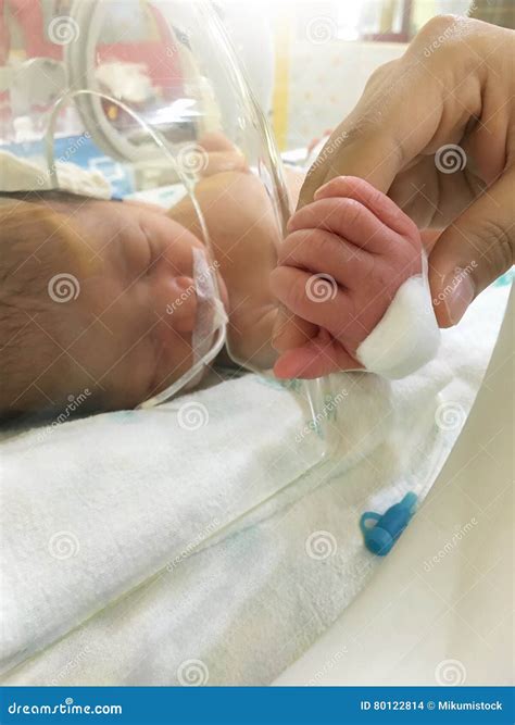 Patient New Born Baby In Incubator Stock Photo Image Of Closeup