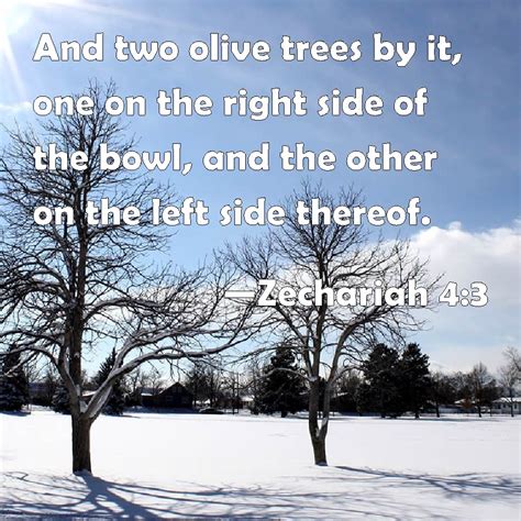 Zechariah 4:3 And two olive trees by it, one on the right side of the ...