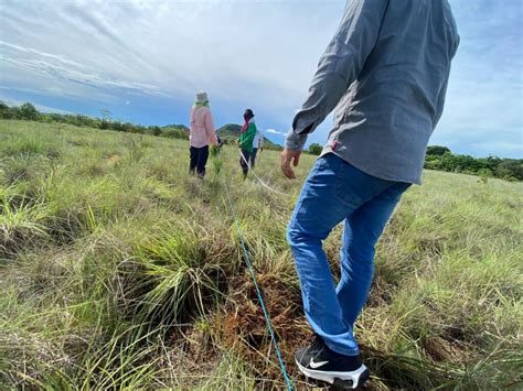 Jornada de reforestación en la Finca El Lago en Veraguas Un Éxito en