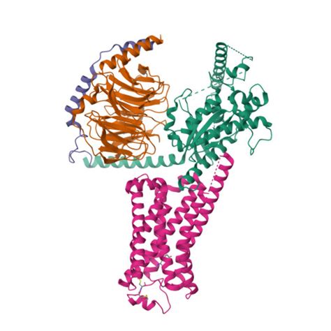 Rcsb Pdb Ged Cryoem Structure Of Beta Adrenergic Receptor In