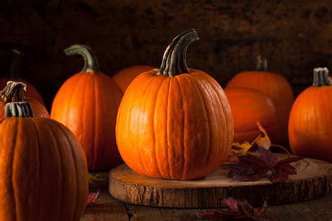 Pumpkins For All Orrs Farm Market