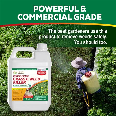 Natural Weed Killer Concentrate Eco Garden Solutions