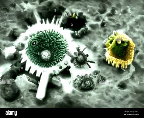 Viruses Under The Microscope Stock Photo Alamy