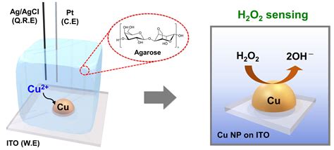 Chemosensors Free Full Text Hydrogel Based Electrodeposition Of