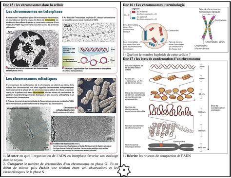 Notion De Linformation G N Tique Activit S Alloschool