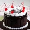 Jual Chocolate Fudge Ukuran Cm Birthday Cake Kue Ulang Tahun Di