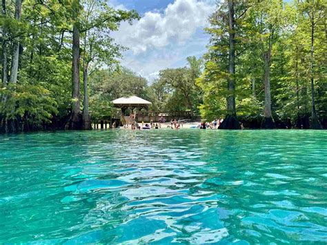 Hidden Trails Of Florida's Torreya | TouristSecrets