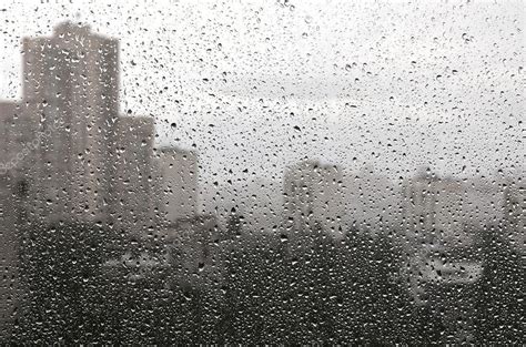 Rainy window Stock Photo by ©fortyforks 49334027