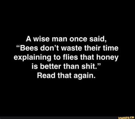 A Wise Man Once Said Bees Don T Waste Their Time Explaining To Flies