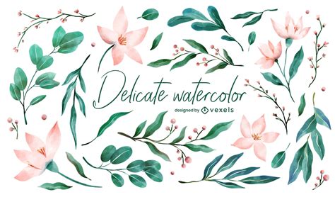 Watercolor Flowers And Leaves Set Vector Download