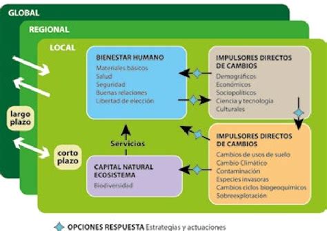 A UNA VISIÓN HOLÍSTICA SOBRE LOS ECOSISTEMAS Download Scientific Diagram