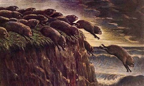 Did Disney Fake Lemming Suicide For The Nature Documentary White