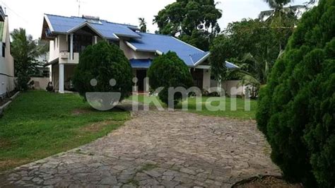 Paddy Field Facing Luxury House For Rent In Kotte U Ikman