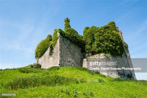 Carlow Castle Photos and Premium High Res Pictures - Getty Images