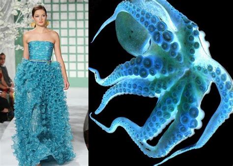 Octopus Inspired Fashion With Images Sea Inspired Fashion