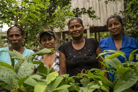 Manos Unidas Apoyamos La Econom A Social Y Solidaria En Am Rica Latina