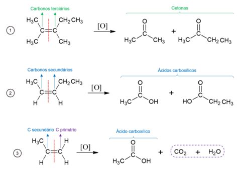 Reações Orgânicas Quais São Exemplos E Características Das Reações