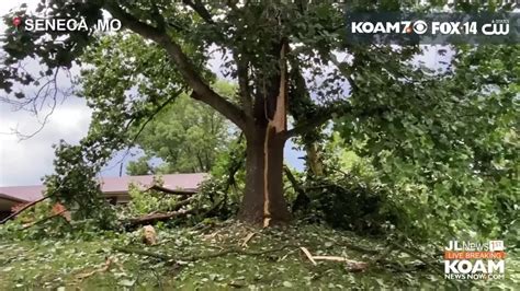 Storm Damage In Seneca Tree Explodes In Lightning Strike Starts House