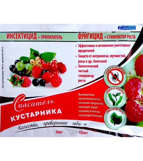 Антракноз: чем и как лечить растения, препараты, профилактические меры ...