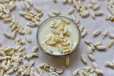 Muri Khoi Or Puffed Rice Popped Rice Traditional Bengali Indian Dry Snacks With Milk For Puja