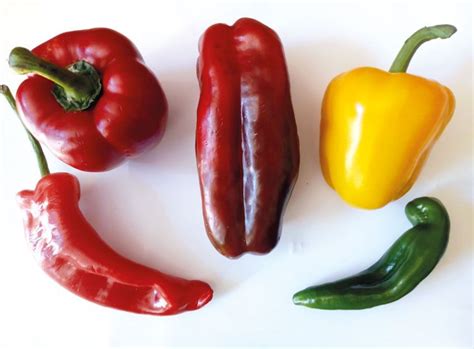 Del G Nero Capsicum El Pimiento La Fertilidad De La Tierra