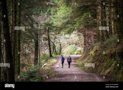 Haustiere In Der Natur Fotos Und Bildmaterial In Hoher Aufl Sung Alamy