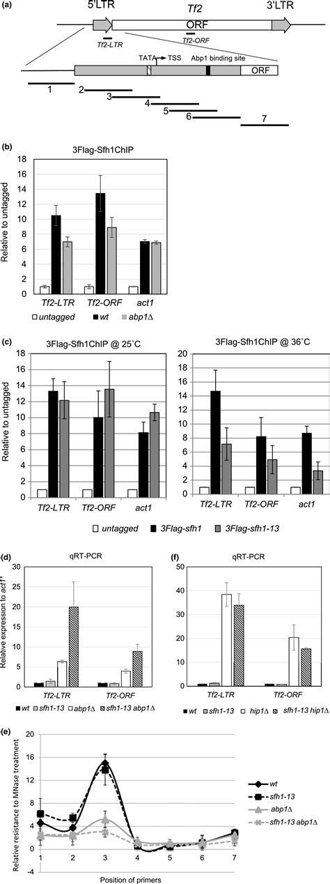 Sfh1, an essential component of the RSC chromatin remodeling complex ...