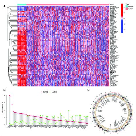 Expression And Somatic Mutation Landscape Of Nets Related Genes In