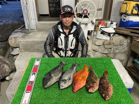 磯釣りでグレ40㎝まで2枚・アカハタ・イガミ2枚・ゲット！ 一栄丸渡船｜三重県紀北町