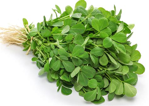 Dried Fenugreek Leaves - How to use them in your cooking