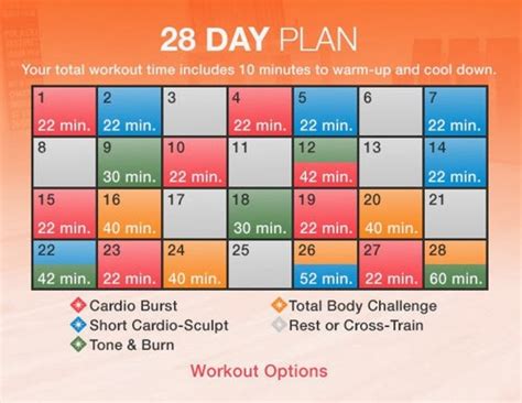 Workout Excercise Cardio Dance And Fitness 28 Days Workout Plan With Cardio