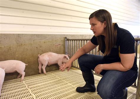 App Helps Pork Producers Secure Their Biosecurity Plans Pork Business