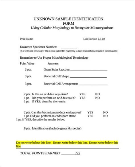 Solved Gram Stain Acid Fast Stain Endospore Stain UNKNOWN | Chegg.com 