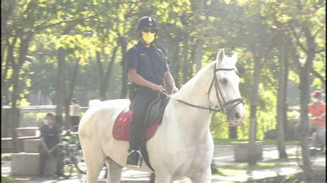 《主播凹鬥outdoor中》「身騎白馬」巡邏去 挑戰一日騎警任務 Youtube