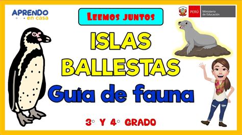 Leemos Juntos Islas Ballestas Guía De Fauna Youtube