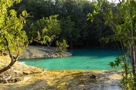 Jungle Trekking - THAI SEAPLANE