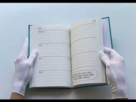 Мне все льзя. Ежедневник - YouTube