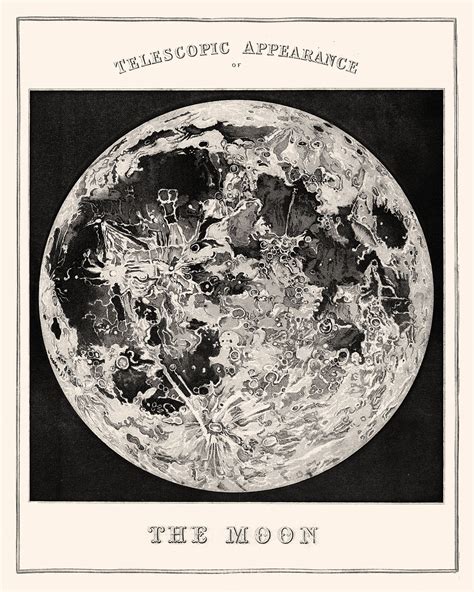 Vintage Moon Print Decor Moon Phases Print Astronomy Poster Etsy