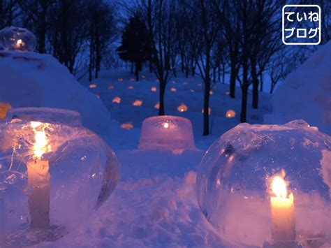 雪の花あかり！【冬のまちにスノーキャンドルの灯りをともそう！2023in星観緑地】 ていねブログ