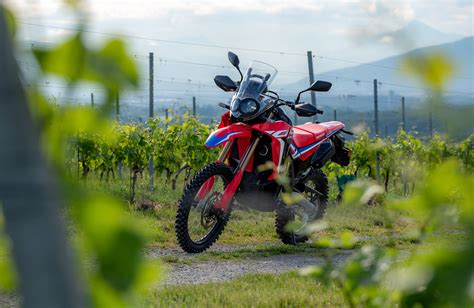 Essai La Honda Crf Rally Dans Le Terrain Actu Moto