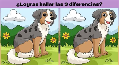 Reto Visual Solo Para Mentes Brillantes Encuentra Las Diferencias