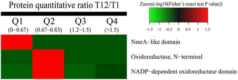 Protein Domain Enrichment Based Clustering Analysis Of Different